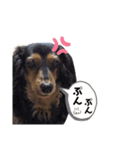 5匹の愉快な仲間たち2（個別スタンプ：5）