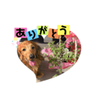 5匹の愉快な仲間たち2（個別スタンプ：11）