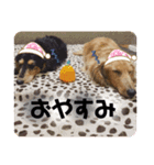 5匹の愉快な仲間たち2（個別スタンプ：14）