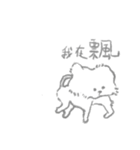 Poodle cat（個別スタンプ：1）