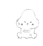 Poodle cat（個別スタンプ：17）