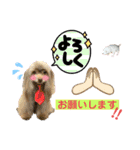 ワンダフル ぶぶ（個別スタンプ：2）