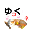ワンダフル ぶぶ（個別スタンプ：4）