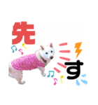 ワンダフル ぶぶ（個別スタンプ：5）