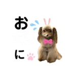 ワンダフル ぶぶ（個別スタンプ：6）