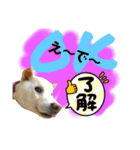 ワンダフル ぶぶ（個別スタンプ：7）