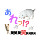 ワンダフル ぶぶ（個別スタンプ：8）