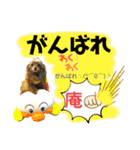 ワンダフル ぶぶ（個別スタンプ：9）