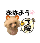 ワンダフル ぶぶ（個別スタンプ：10）