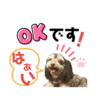 ワンダフル ぶぶ（個別スタンプ：11）