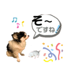 ワンダフル ぶぶ（個別スタンプ：12）