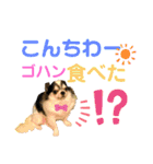 ワンダフル ぶぶ（個別スタンプ：13）