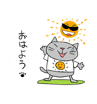 Junsの夏の灰色ねこ（個別スタンプ：1）