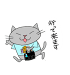 Junsの夏の灰色ねこ（個別スタンプ：6）