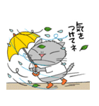 Junsの夏の灰色ねこ（個別スタンプ：9）