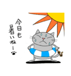 Junsの夏の灰色ねこ（個別スタンプ：11）