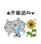 Junsの夏の灰色ねこ（個別スタンプ：14）