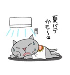 Junsの夏の灰色ねこ（個別スタンプ：36）