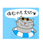 Junsの夏の灰色ねこ（個別スタンプ：37）