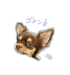 ウルくんスタンプ.（個別スタンプ：14）