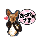 miroスタンプ（個別スタンプ：1）