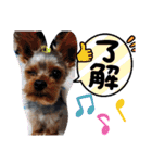 miroスタンプ（個別スタンプ：2）