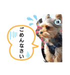 miroスタンプ（個別スタンプ：5）