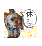 miroスタンプ（個別スタンプ：14）