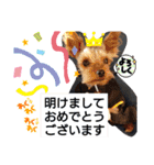 miroスタンプ（個別スタンプ：31）