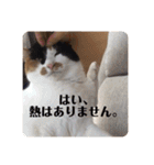 まるの癒しスタンプ（個別スタンプ：1）