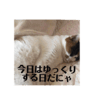 まるの癒しスタンプ（個別スタンプ：5）