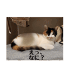 まるの癒しスタンプ（個別スタンプ：9）