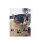 まるの癒しスタンプ（個別スタンプ：10）