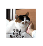 まるの癒しスタンプ（個別スタンプ：20）