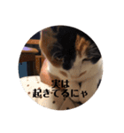 まるの癒しスタンプ（個別スタンプ：27）