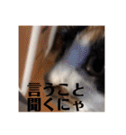 まるの癒しスタンプ（個別スタンプ：29）