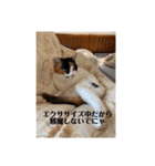 まるの癒しスタンプ（個別スタンプ：30）