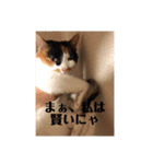 まるの癒しスタンプ（個別スタンプ：33）