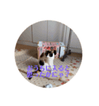 まるの癒しスタンプ（個別スタンプ：34）