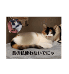 まるの癒しスタンプ（個別スタンプ：35）