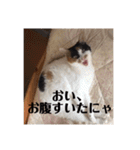 まるの癒しスタンプ（個別スタンプ：40）