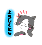 こと猫！？16’s ver 改（個別スタンプ：4）