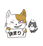 こと猫！？16’s ver 改（個別スタンプ：7）