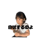 我が家の癒しっ子♡（個別スタンプ：38）