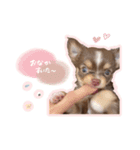 ラニちゃんスタンプ（個別スタンプ：1）
