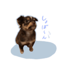 ラニちゃんスタンプ（個別スタンプ：9）
