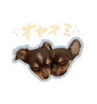 ラニちゃんスタンプ（個別スタンプ：11）