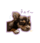 ラニちゃんスタンプ（個別スタンプ：16）