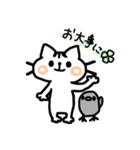 【ほぼ丁寧語】セニョリータくりちゃん（個別スタンプ：15）