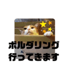 毎日わらび（個別スタンプ：21）